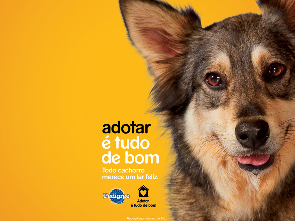 adotarétudodebom1
